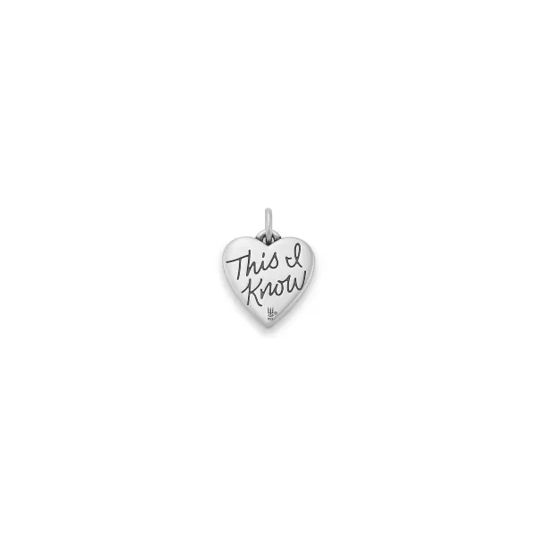 James Avery Artisan Jewelry Religious Charms-Jesus Loves Me Charm